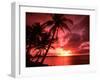 Palms And Sunset at Tumon Bay, Guam-Bill Bachmann-Framed Photographic Print