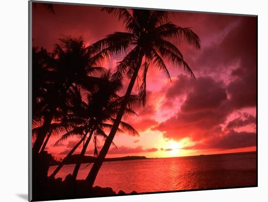 Palms And Sunset at Tumon Bay, Guam-Bill Bachmann-Mounted Photographic Print