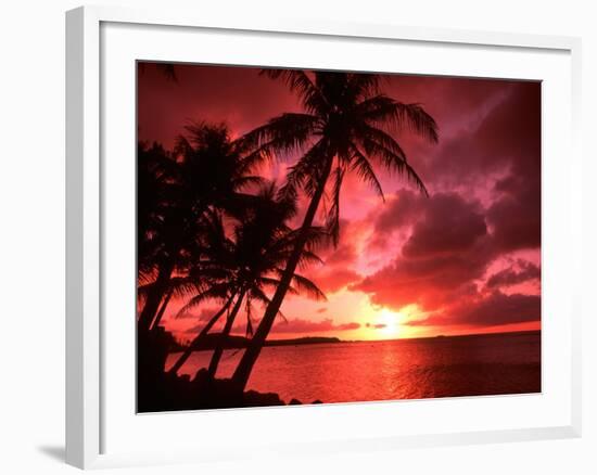 Palms And Sunset at Tumon Bay, Guam-Bill Bachmann-Framed Photographic Print