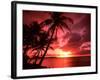 Palms And Sunset at Tumon Bay, Guam-Bill Bachmann-Framed Photographic Print