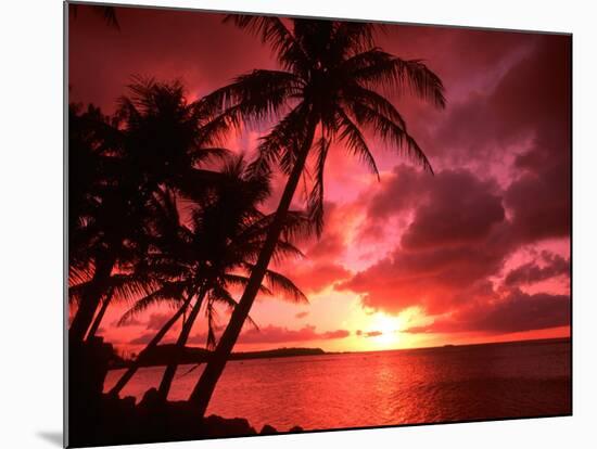Palms And Sunset at Tumon Bay, Guam-Bill Bachmann-Mounted Photographic Print