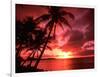 Palms And Sunset at Tumon Bay, Guam-Bill Bachmann-Framed Photographic Print