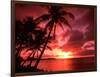 Palms And Sunset at Tumon Bay, Guam-Bill Bachmann-Framed Photographic Print