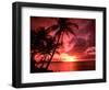 Palms And Sunset at Tumon Bay, Guam-Bill Bachmann-Framed Premium Photographic Print