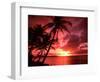 Palms And Sunset at Tumon Bay, Guam-Bill Bachmann-Framed Premium Photographic Print