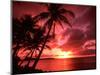 Palms And Sunset at Tumon Bay, Guam-Bill Bachmann-Mounted Premium Photographic Print