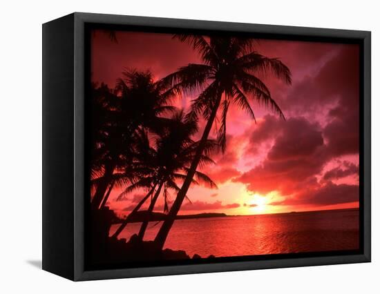 Palms And Sunset at Tumon Bay, Guam-Bill Bachmann-Framed Stretched Canvas