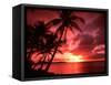 Palms And Sunset at Tumon Bay, Guam-Bill Bachmann-Framed Stretched Canvas