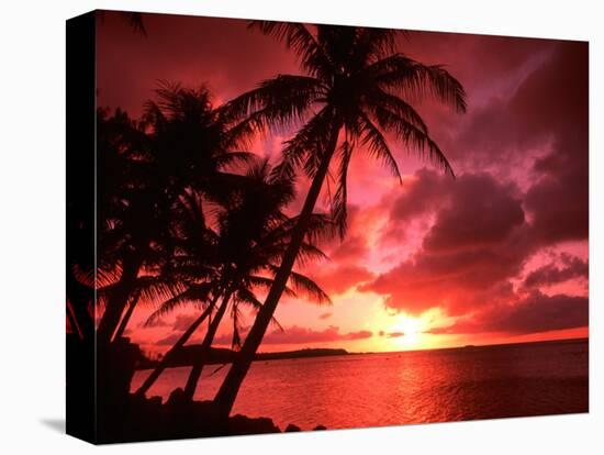 Palms And Sunset at Tumon Bay, Guam-Bill Bachmann-Stretched Canvas