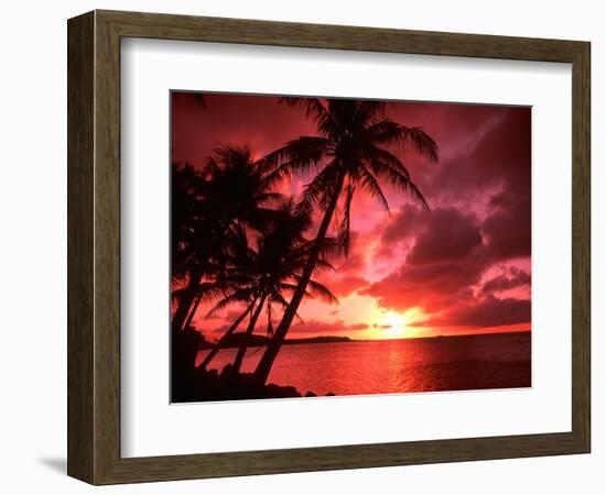 Palms And Sunset at Tumon Bay, Guam-Bill Bachmann-Framed Photographic Print