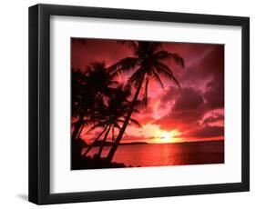 Palms And Sunset at Tumon Bay, Guam-Bill Bachmann-Framed Photographic Print