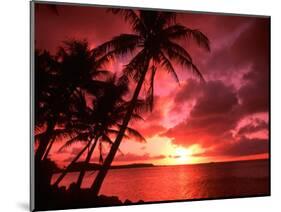 Palms And Sunset at Tumon Bay, Guam-Bill Bachmann-Mounted Photographic Print