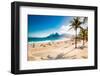 Palms and Two Brothers Mountain on Ipanema Beach in Rio De Janeiro. Brazil.-Aleksandar Todorovic-Framed Photographic Print