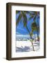 Palms and Umbrellas, Isla Mujeres, Mexico-George Oze-Framed Photographic Print