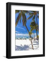 Palms and Umbrellas, Isla Mujeres, Mexico-George Oze-Framed Photographic Print