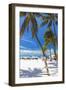 Palms and Umbrellas, Isla Mujeres, Mexico-George Oze-Framed Photographic Print