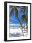 Palms and Umbrellas, Isla Mujeres, Mexico-George Oze-Framed Photographic Print