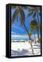 Palms and Umbrellas, Isla Mujeres, Mexico-George Oze-Framed Stretched Canvas