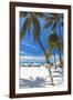 Palms and Umbrellas, Isla Mujeres, Mexico-George Oze-Framed Photographic Print