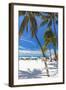 Palms and Umbrellas, Isla Mujeres, Mexico-George Oze-Framed Photographic Print