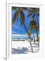 Palms and Umbrellas, Isla Mujeres, Mexico-George Oze-Framed Photographic Print