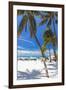 Palms and Umbrellas, Isla Mujeres, Mexico-George Oze-Framed Photographic Print