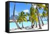 Palms at A Tropical Beach-noblige-Framed Stretched Canvas