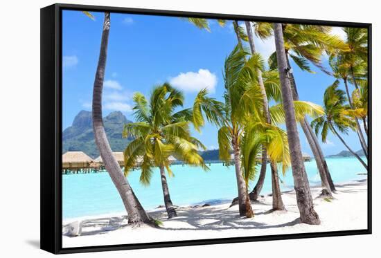 Palms at A Tropical Beach-noblige-Framed Stretched Canvas