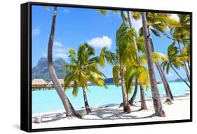 Palms at A Tropical Beach-noblige-Framed Stretched Canvas