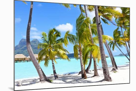 Palms at A Tropical Beach-noblige-Mounted Photographic Print