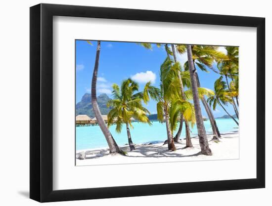 Palms at A Tropical Beach-noblige-Framed Photographic Print