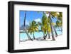 Palms at A Tropical Beach-noblige-Framed Photographic Print