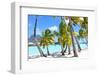 Palms at A Tropical Beach-noblige-Framed Photographic Print