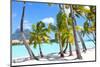 Palms at A Tropical Beach-noblige-Mounted Photographic Print