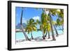 Palms at A Tropical Beach-noblige-Framed Photographic Print