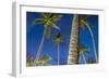 Palms at Night on the Beach of Bo Phut Beach, Island Ko Samui, Thailand, Asia-P. Widmann-Framed Photographic Print