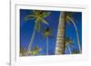 Palms at Night on the Beach of Bo Phut Beach, Island Ko Samui, Thailand, Asia-P. Widmann-Framed Photographic Print