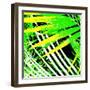 Palms Away I-Herb Dickinson-Framed Photographic Print