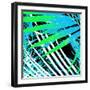 Palms Away VI-Herb Dickinson-Framed Photographic Print