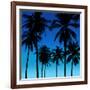 Palms Black on Blue I-Mia Jensen-Framed Art Print