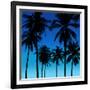 Palms Black on Blue I-Mia Jensen-Framed Art Print