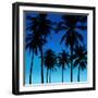 Palms Black on Blue I-Mia Jensen-Framed Art Print