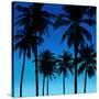 Palms Black on Blue I-Mia Jensen-Stretched Canvas