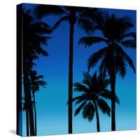 Palms Black on Blue II-Mia Jensen-Stretched Canvas