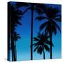 Palms Black on Blue II-Mia Jensen-Stretched Canvas