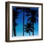 Palms Black on Blue II-Mia Jensen-Framed Art Print