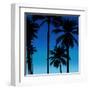 Palms Black on Blue II-Mia Jensen-Framed Art Print