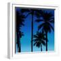 Palms Black on Blue II-Mia Jensen-Framed Art Print