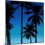 Palms Black on Blue II-Mia Jensen-Mounted Art Print