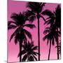 Palms Black on Pink I-Mia Jensen-Mounted Art Print